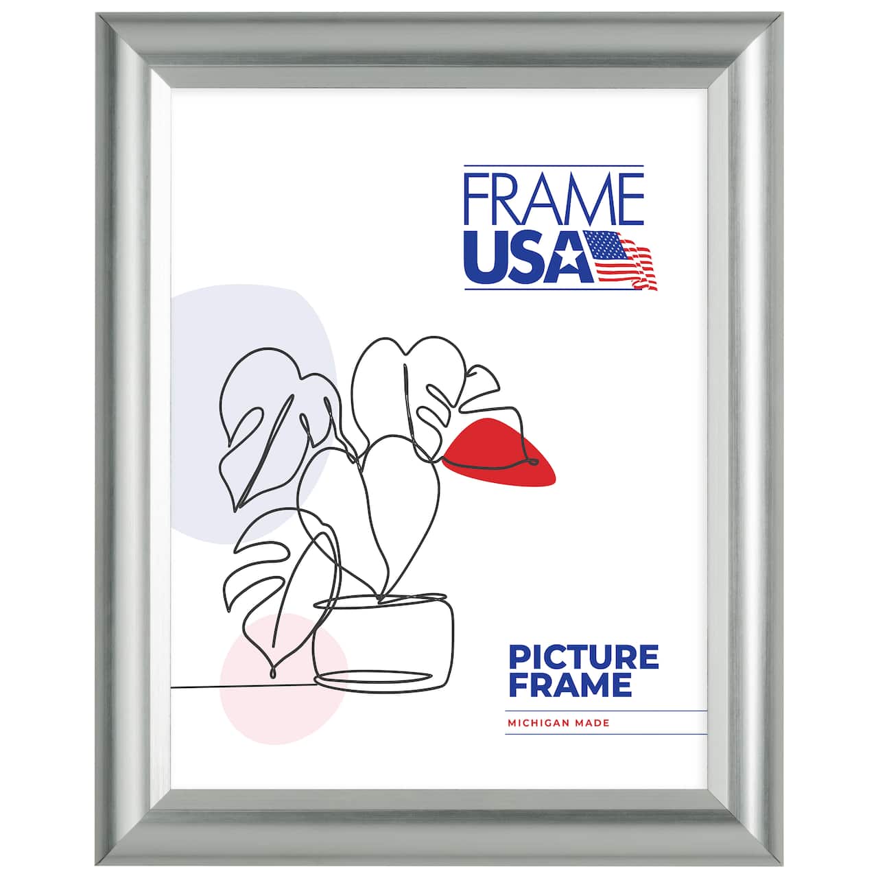 Frame USA Deluxe Poster Silver Single Image Picture Frame